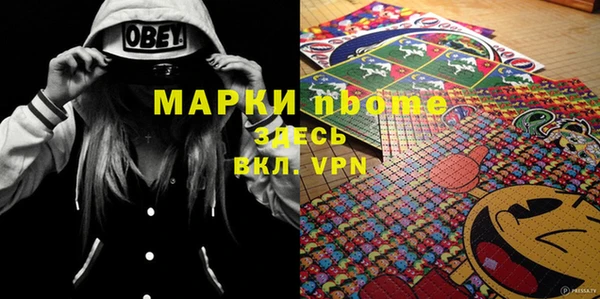 гашик Алексин