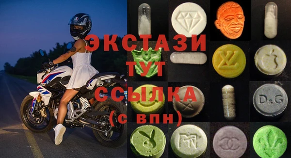 гашик Алексин