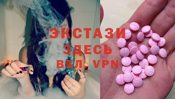гашик Алексин