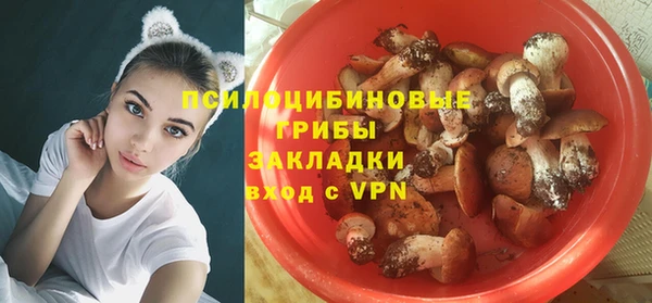 гашик Алексин