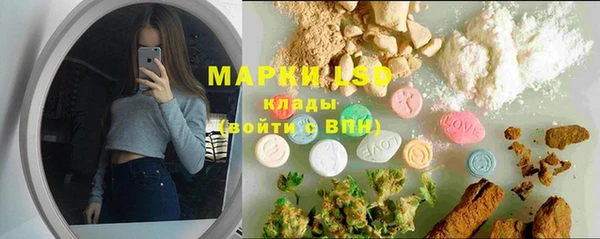 гашик Алексин