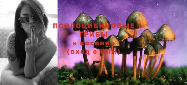 гашик Алексин