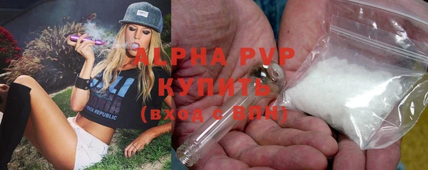 гашик Алексин